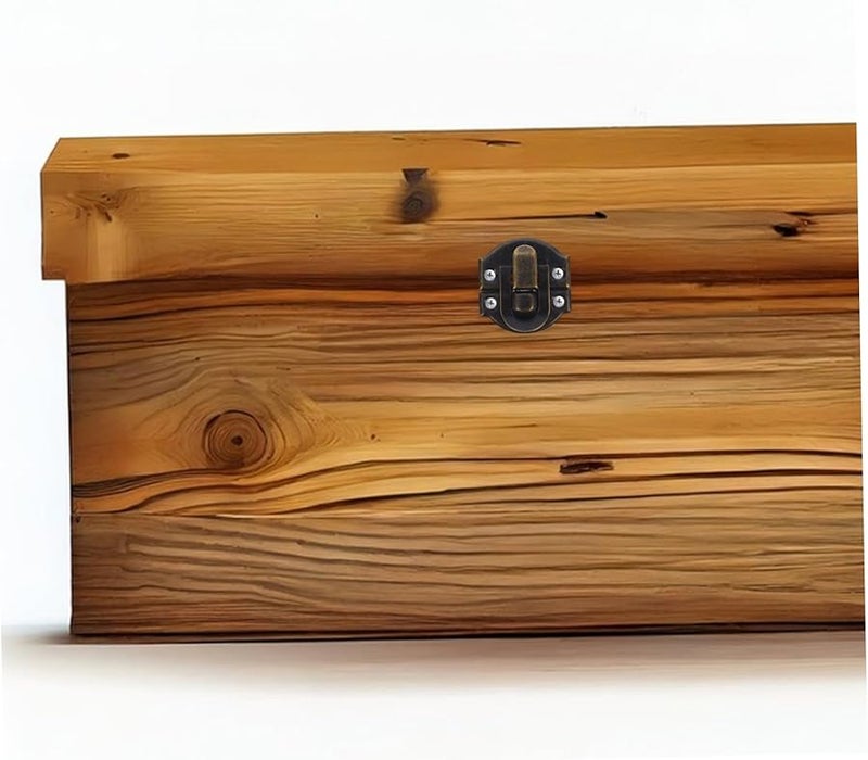 Vintage Antique Iron Lock Hasps 20Pcs for Jewelry Box Chest Durable Decorative Hardware - Image 5