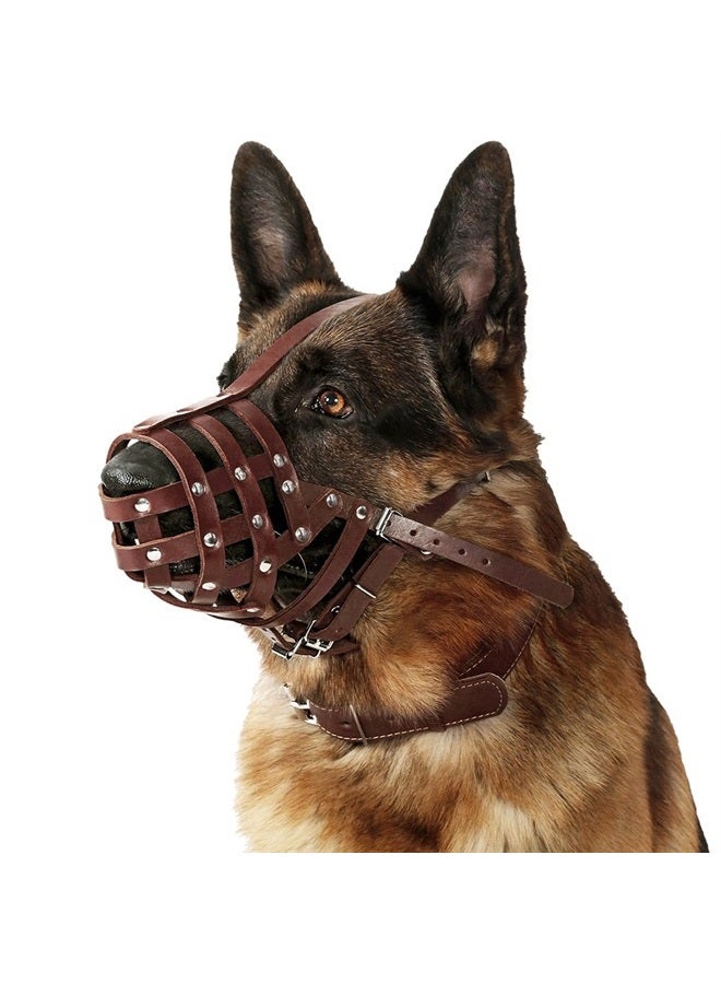 CollarDirect Dog Muzzle German Shepherd Dalmatian Doberman Setter Leather Basket Medium Large Breeds Black Brown (L, Black)