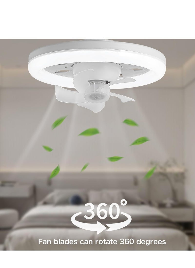 Generic - E27 Ceiling Fan with Light, 10 Inch 3 Speeds 3 Colors Dimmable Modern Socket Fan Light with Remote Control, 6500K Low Profile LED Ceiling Fan Light for Garage, Kitchen, Living Room - Image 1