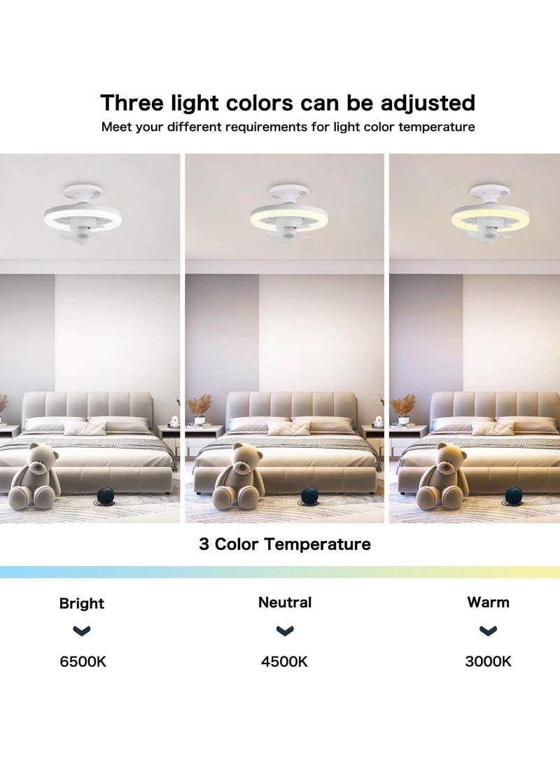 Generic - E27 Ceiling Fan with Light, 10 Inch 3 Speeds 3 Colors Dimmable Modern Socket Fan Light with Remote Control, 6500K Low Profile LED Ceiling Fan Light for Garage, Kitchen, Living Room - Image 1
