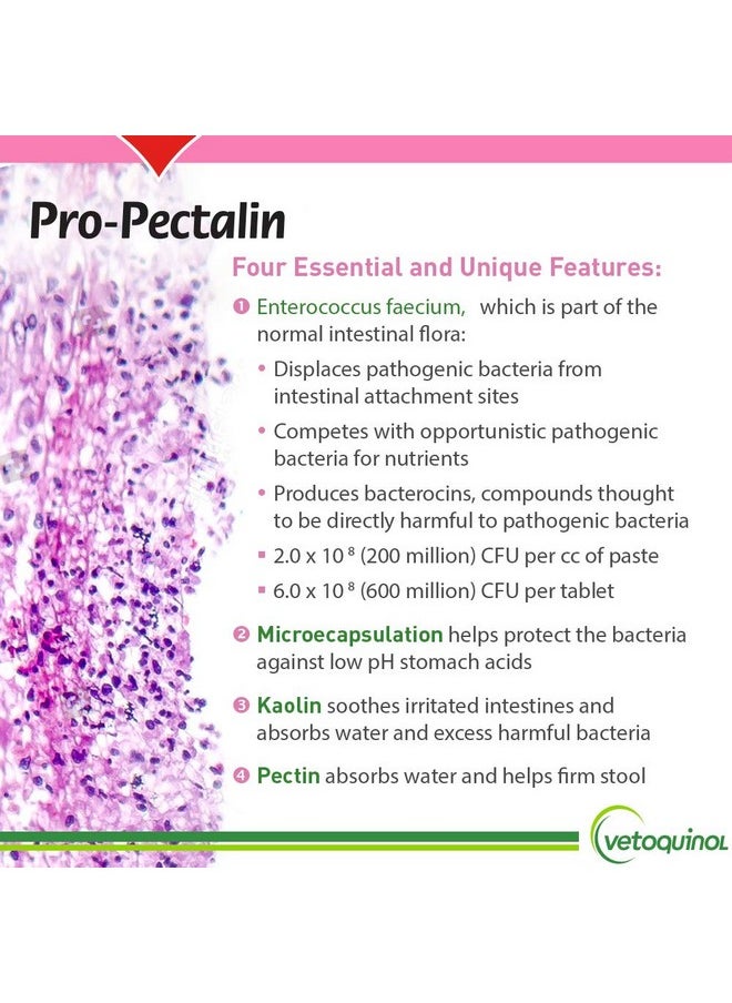 Vetoquinol ProPectalin Chewable Tablets For Dogs & Cats  250Ct, Beef Liver Flavor  Helps Reduce Occasional Loose Stool & Diarrhea, Balance Gut Ph, Support Normal Digestion & Intestinal Flora  - Image 4