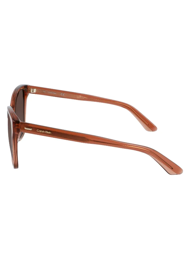 CALVIN KLEIN FULL RIM ACETATE CALVIN KLEIN SUN CK21529S