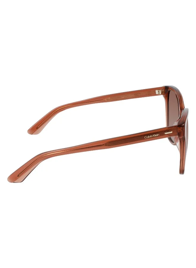 CALVIN KLEIN  FULL RIM ACETATE CALVIN KLEIN SUN CK21529S  | Best Price UAE