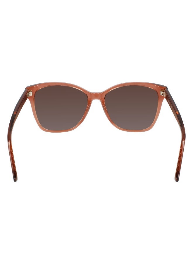 CALVIN KLEIN FULL RIM ACETATE CALVIN KLEIN SUN CK21529S - Image 4