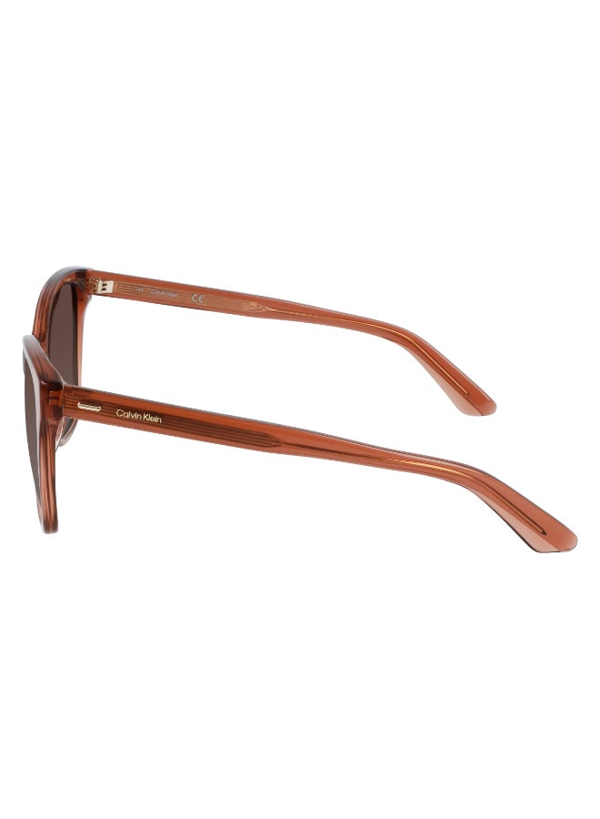 CALVIN KLEIN FULL RIM ACETATE CALVIN KLEIN SUN CK21529S - Image 2