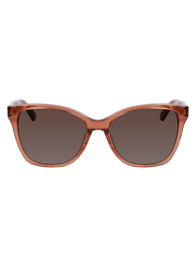 CALVIN KLEIN FULL RIM ACETATE CALVIN KLEIN SUN CK21529S - Image 1