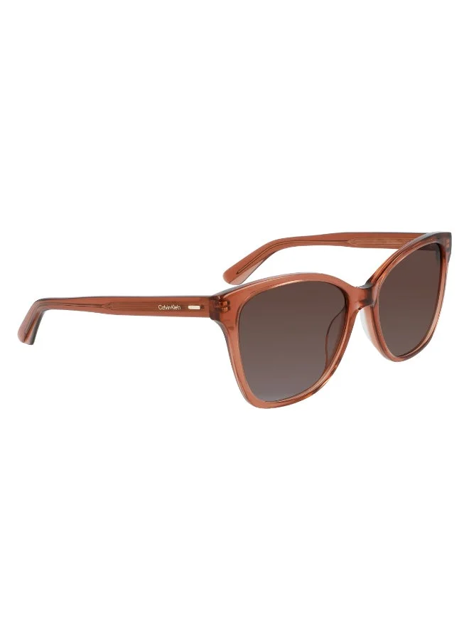 CALVIN KLEIN  FULL RIM ACETATE CALVIN KLEIN SUN CK21529S  | Best Price UAE