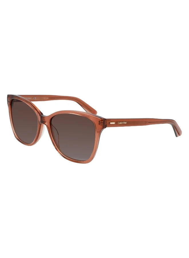 CALVIN KLEIN  FULL RIM ACETATE CALVIN KLEIN SUN CK21529S  | Best Price UAE