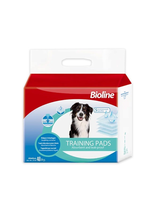 Bioline Training Pads - 40 Pads (60X60 CM) - Image 1