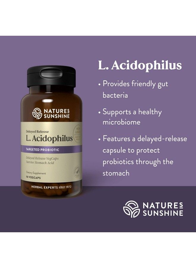Acidophilus Probiotics 90 Capsules