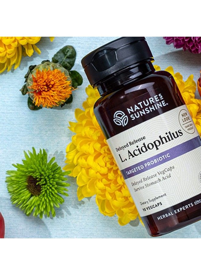 Acidophilus Probiotics 90 Capsules