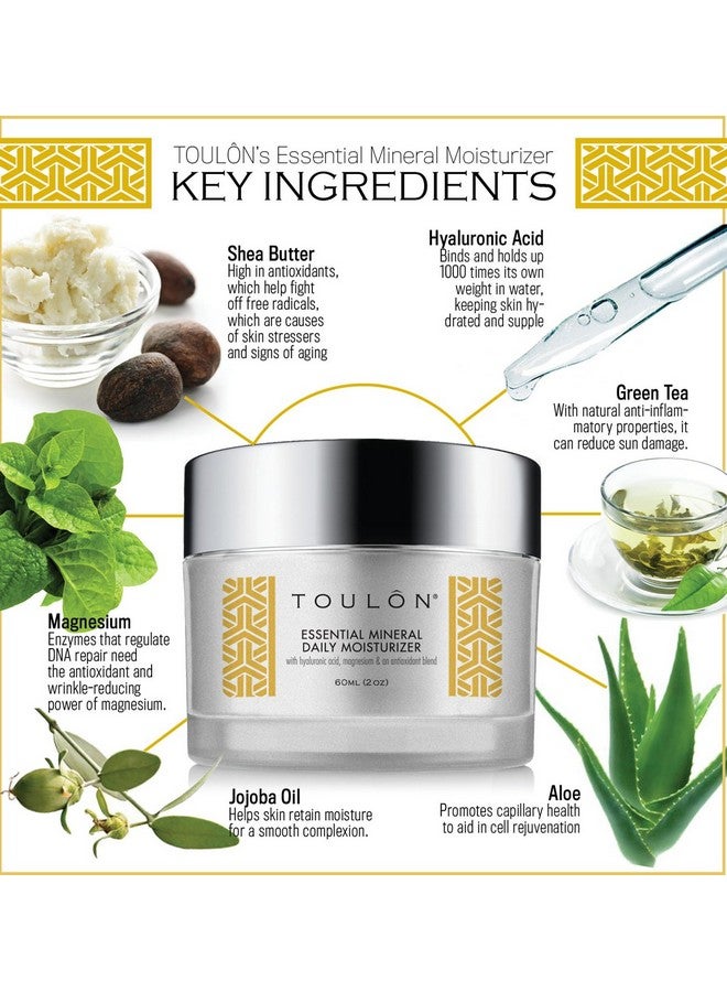 TOULON Face Moisturizer Day Cream For Women With Hyaluronic Acid Essential Minerals & Antioxidants - Image 3