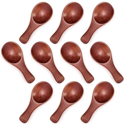 HANSGO 10PCS Small Wooden Spoons, 3.25 Inch Wooden Teaspoons, Cute Little Spoons for Spices, Bath Salt, Grains, Sugar, Coffee, Powder, Dessert, Loose-leaf Tea, Best Gifts, Sturdy & Lightweight - Image 1