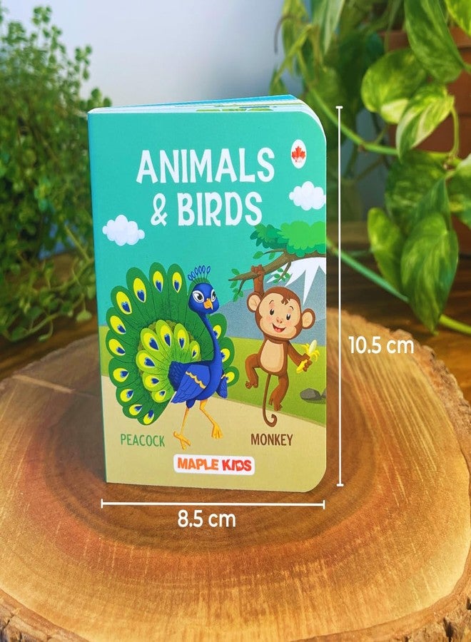 Brainytots Alphabets and Numbers Board Books for Kids | Early Learning Book with Big Pictures | Educational Books for Babies and Toddlers, Language Development and First Reading - Image 3