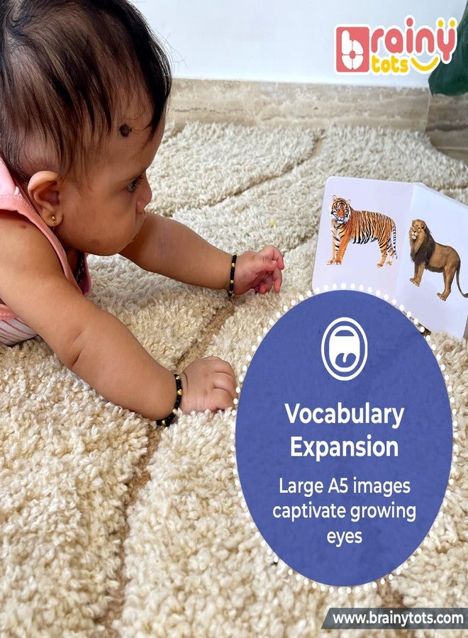 Brainytots Alphabets and Numbers Board Books for Kids | Early Learning Book with Big Pictures | Educational Books for Babies and Toddlers, Language Development and First Reading - Image 5