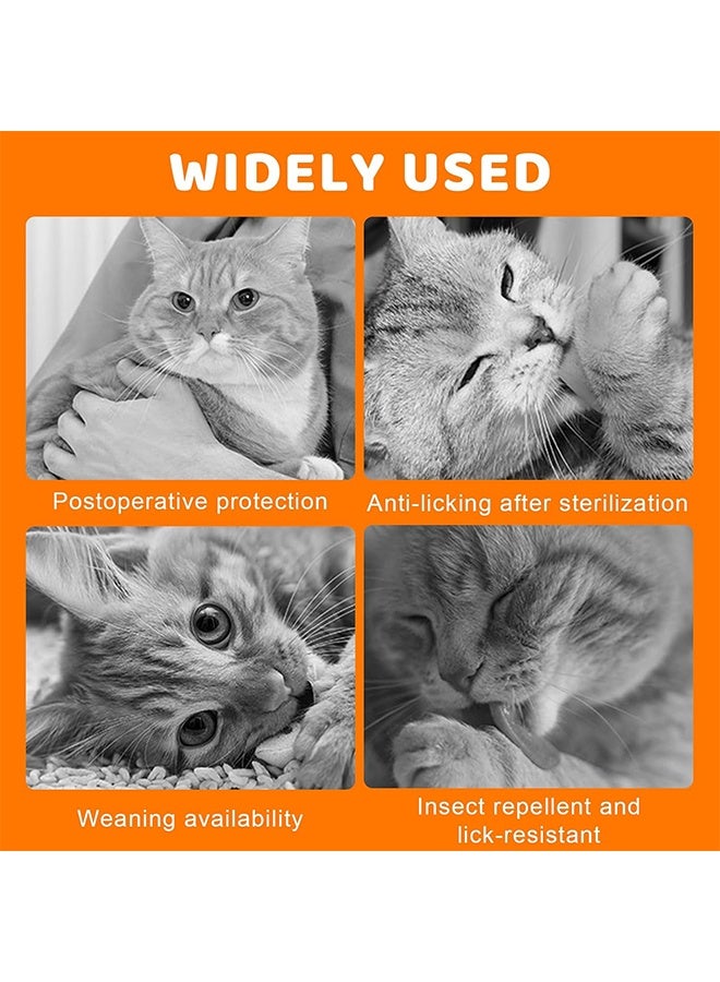 بدلة تعافي للقطط من جروح البطن، قطعة واحدة قابلة للتنفس للقطط بعد العمليات الجراحية، بدلة تعافي جراحي للقطط، بديل مخروطي للعار للقطط مضاد لللعق (L) - Image 5