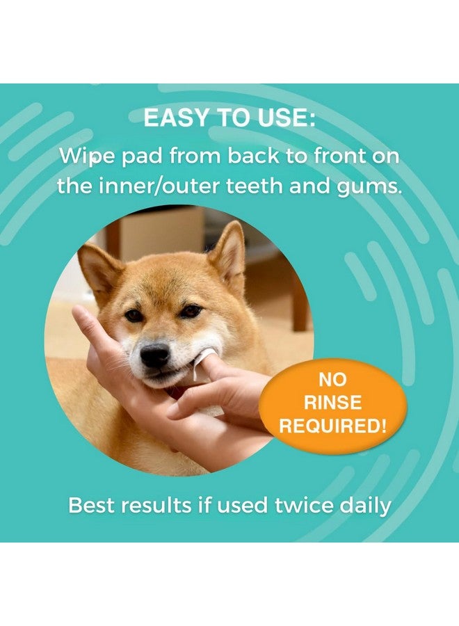 nootie Nootie Medicated Dental Wipes for Dogs, Cleans Teeth and Freshens Breath for Dogs - Prevents Plaque and Tartar Dog Oral Care, 60 Count - Image 3