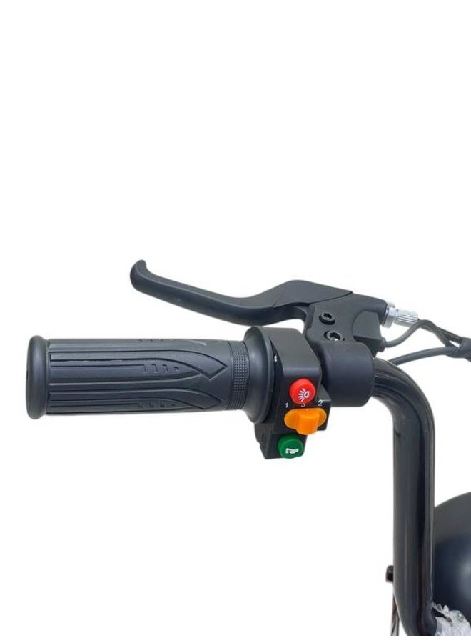 Harley Mini ATV for kids, 36V, powerful alternator - Image 2