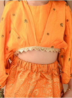 LILPICKS Stylish Lehenga Choli Set  - Image 5