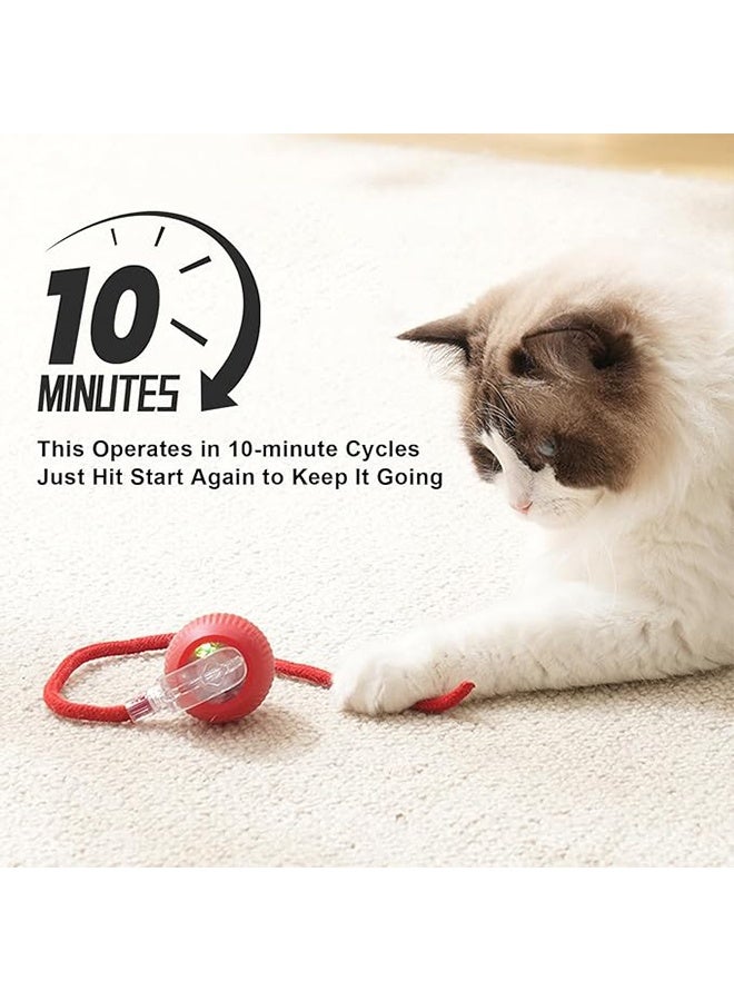 كرة ألعاب القط المتداول التفاعلية ، كرة المتداول التفاعلية ، ألعاب الأليفة المتداول بالحركة ، / القط الأوتوماتيكي المتحرك ذاتيا لألعاب القطط الداخلية المتداول بسرعة على السجادة - Image 5