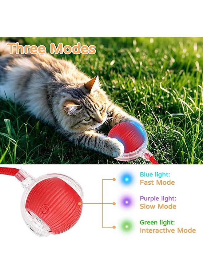 كرة ألعاب القط المتداول التفاعلية ، كرة المتداول التفاعلية ، ألعاب الأليفة المتداول بالحركة ، / القط الأوتوماتيكي المتحرك ذاتيا لألعاب القطط الداخلية المتداول بسرعة على السجادة - Image 3