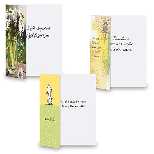 Current Get Well Florals Greeting Cards Value Pack- Set of 20 (10 designs) Large 5 x 7, Sentiments Inside, Get Well Soon Cards, Get Well Wishes, Envelopes Included - Image 2