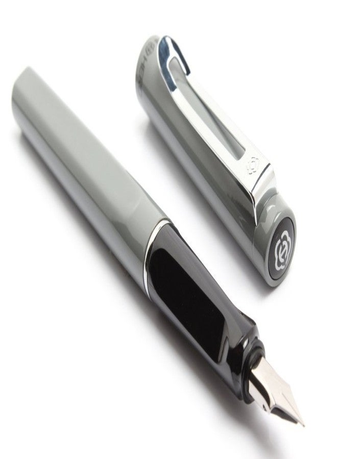 Abaj Original Hero 1515 Model Grey Fountain Pen Special Gift Item - Image 1