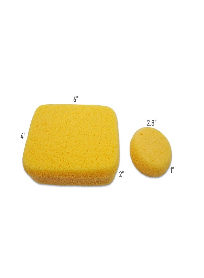 Lullingworth® Premium Hydrophilated Synthetic Sponges 6 pc Variety Pack with Superior Absorbency, Water Flow. Holds More Paint, applies Smoother, and outperforms Standard Low-Absorbency Craft sponges - Image 5