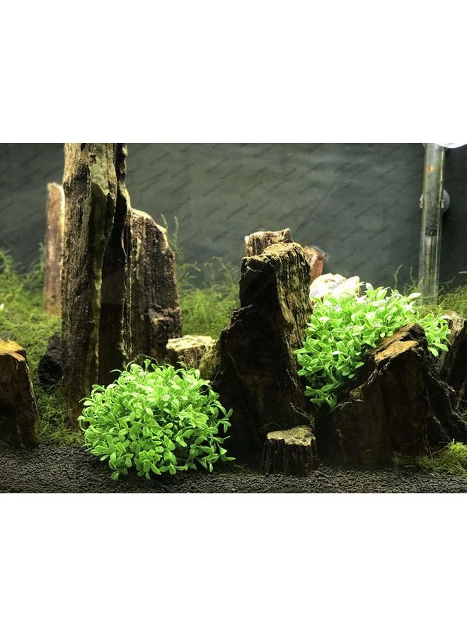 BEGONDIS Aquarium Decorations Fish Tank Artificial Green Water Plants Made of Silk Fabrics Plastic Safe for All Fish & Pets - Image 5