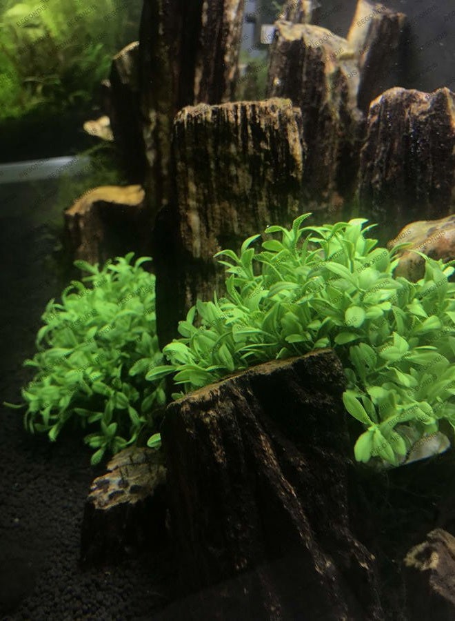 BEGONDIS Aquarium Decorations Fish Tank Artificial Green Water Plants Made of Silk Fabrics Plastic Safe for All Fish & Pets - Image 4