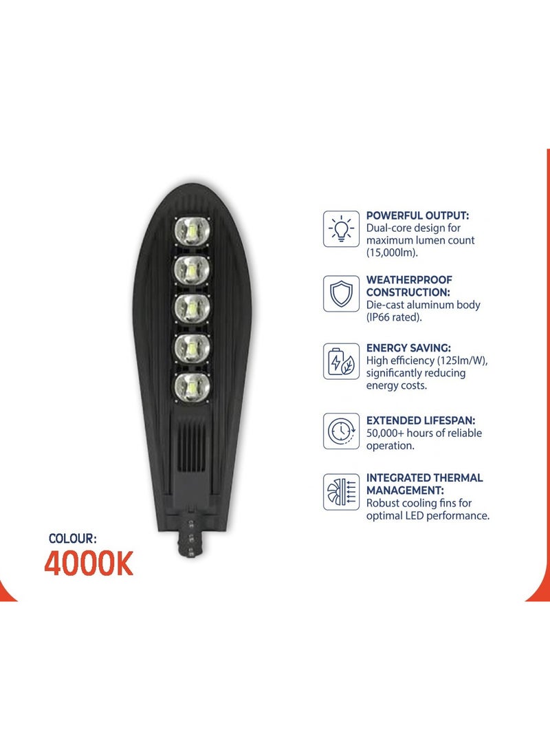 Cobra LED Street Light 250W - High Performance 4000K Outdoor Lighting - Image 2