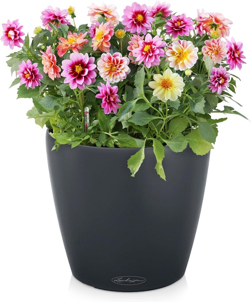 Lechuza 13244 Classico Color 43 Self-Watering Garden Planter for Indoor and Outdoor Use, Slate Matte - Image 2
