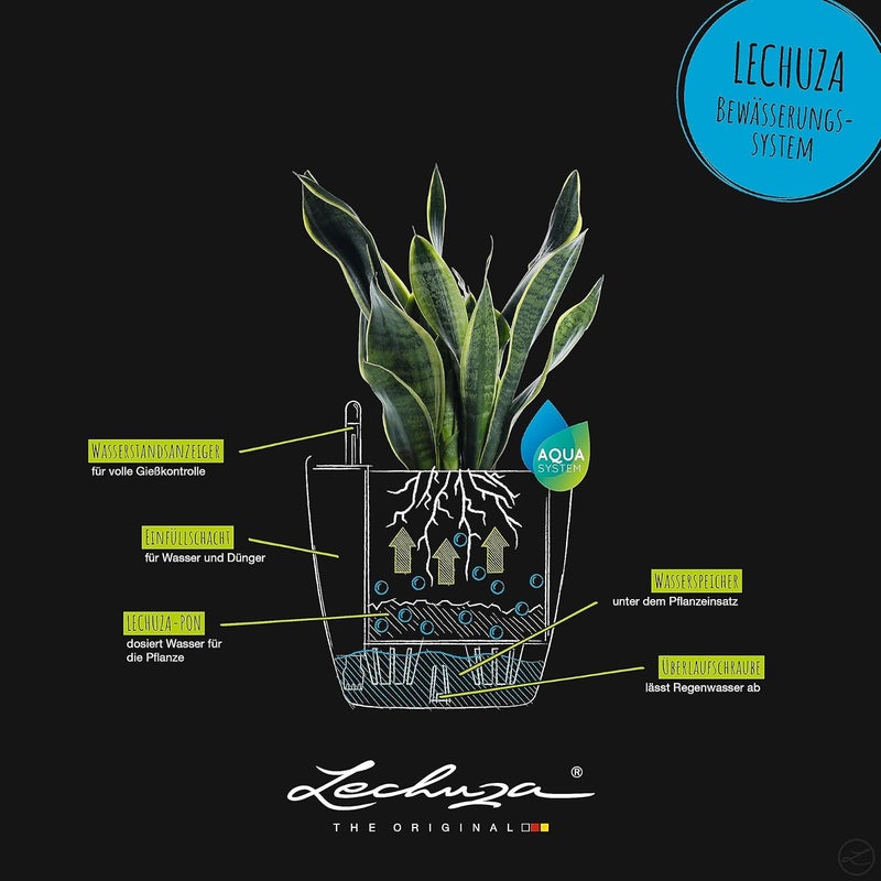 Lechuza 13244 Classico Color 43 Self-Watering Garden Planter for Indoor and Outdoor Use, Slate Matte - Image 5