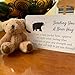 Siluyado A Little Pocket Bear Hug Sending You a Bear Hug with Pocket Hug Token Card Emotional Support Plush Positive Gifts for Graduation Birthday 3pcs - Image 4