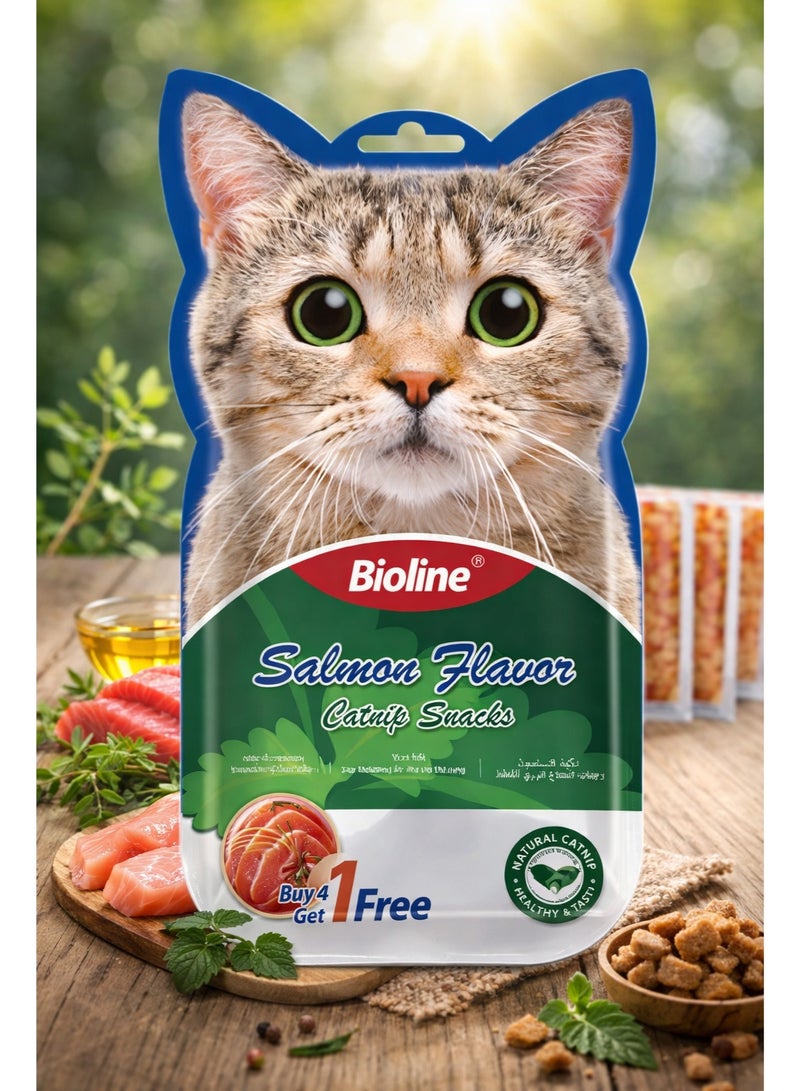 Salmon Flavor Catnip Liquid Pet Snacks 75g (5 Sticks) – Gourmet Creamy Lickable Treats with Natural Catnip, Omega-Rich Grain-Free Healthy Digestive Support for Cats