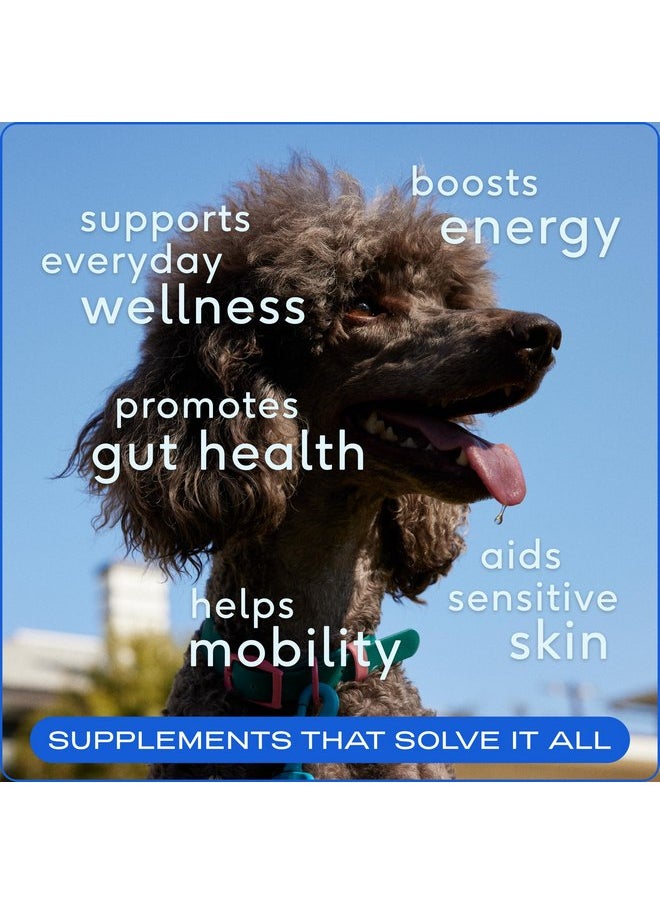 native pet - Native Pet The Daily Dog Supplement 7 oz - Multi Vitamin for Dogs Health - Tasty Scoop with Dog Supplements & Vitamins - Dog Multivitamin Powder - Daily Supplement for Dogs - 12 Active Ingredients - Image 1