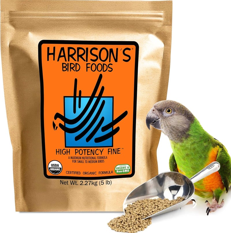 HARRISON'S أطعمة هاريسون عالية الفعالية للطيور الصغيرة - 5 أرطال من طعام الطيور العضوي - Image 1