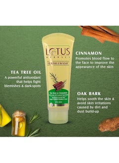 LOTUS HERBALS Teatreewash™ Tea Tree & Cinnamon Anti-Acne Oil Control Face Wash  - Image 3