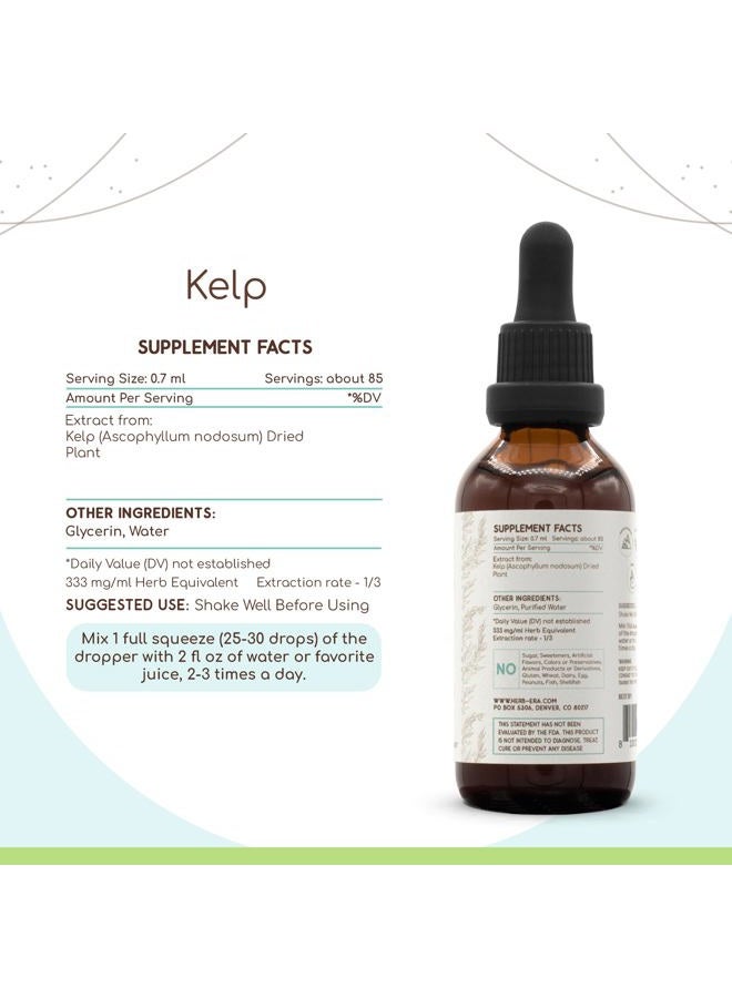 HerbEra Kelp B60 Alcohol-Free Herbal Extract Tincture, Super-Concentrated Organic Kelp (Ascophyllum nodosum) (2 fl oz) - Image 3