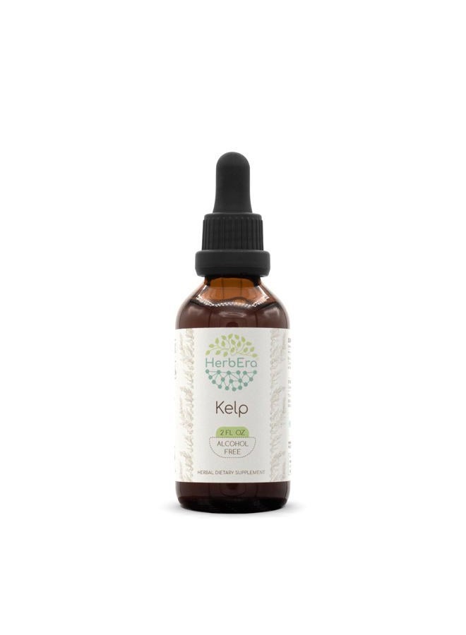 HerbEra Kelp B60 Alcohol-Free Herbal Extract Tincture, Super-Concentrated Organic Kelp (Ascophyllum nodosum) (2 fl oz) - Image 1