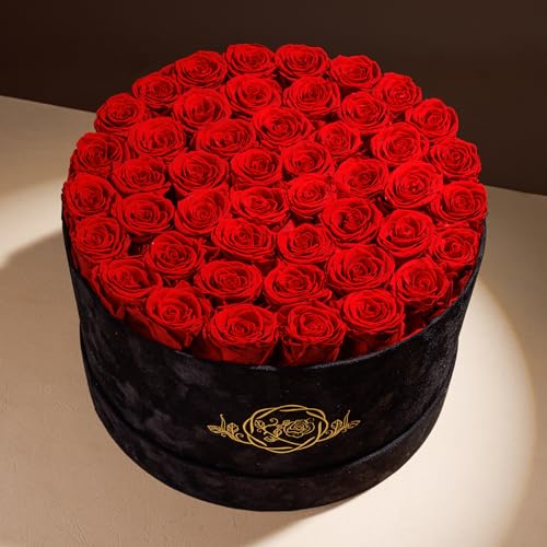 Prifroti بريفروني 47 زهرة في صندوق سويد فاخر، هدايا عيد ميلاد للنساء، زهور محفوظة، هدية عيد الأم للأم، حمراء - Image 2