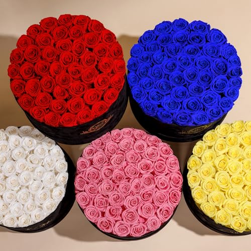 Prifroti بريفروني 47 زهرة في صندوق سويد فاخر، هدايا عيد ميلاد للنساء، زهور محفوظة، هدية عيد الأم للأم، حمراء - Image 5