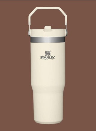 IceFlow 30oz Stainless Steel Tumbler with Straw – Leak-Resistant Flip Straw Lid – Vacuum Insulated Water Bottle for Home, Office & Travel – Reusable Cup Keeps Drinks Cold for 12 Hours & Iced for 2 Days – Durable, BPA-Free & Easy to Carry – Cream - pzsku/ZD9BAEF8E81E781403ED3Z/45/1742110321/15f576e9-ef0d-4642-b6df-389a09ce1e56
