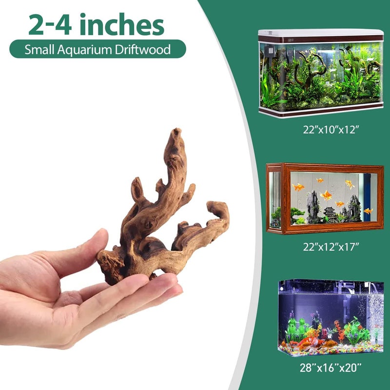 WDEFUN Natural Driftwood for Aquarium Decor, 10-Piece 2''-5'' Small Driftwood for Decorations on Fish Tank, Reptiles Bearded Dragon Accessories or Air Plants - Image 2