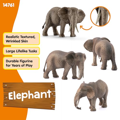 schleich Wild Life 6 Female African Elephant Toy with Realistic Tusks and Textured Skin Durable Safari Animal Figurine for Imaginative Play Wildlife Figure Educational Toy for Kids 3 14761 - Image 3