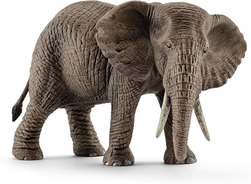 schleich Wild Life 6 Female African Elephant Toy with Realistic Tusks and Textured Skin Durable Safari Animal Figurine for Imaginative Play Wildlife Figure Educational Toy for Kids 3 14761 - Image 2
