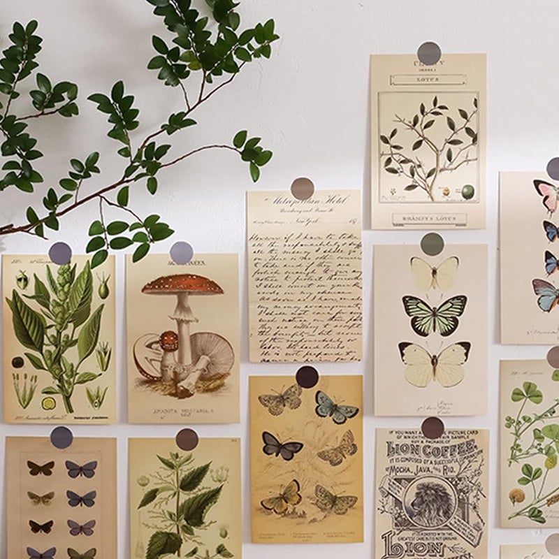 HOSTEESSCHOICE Vintage Collection Postcard Set Retro Style 30 PCS 4x6 in Botanical Butterfly Flower Mushroom Nature Postcards - Image 3
