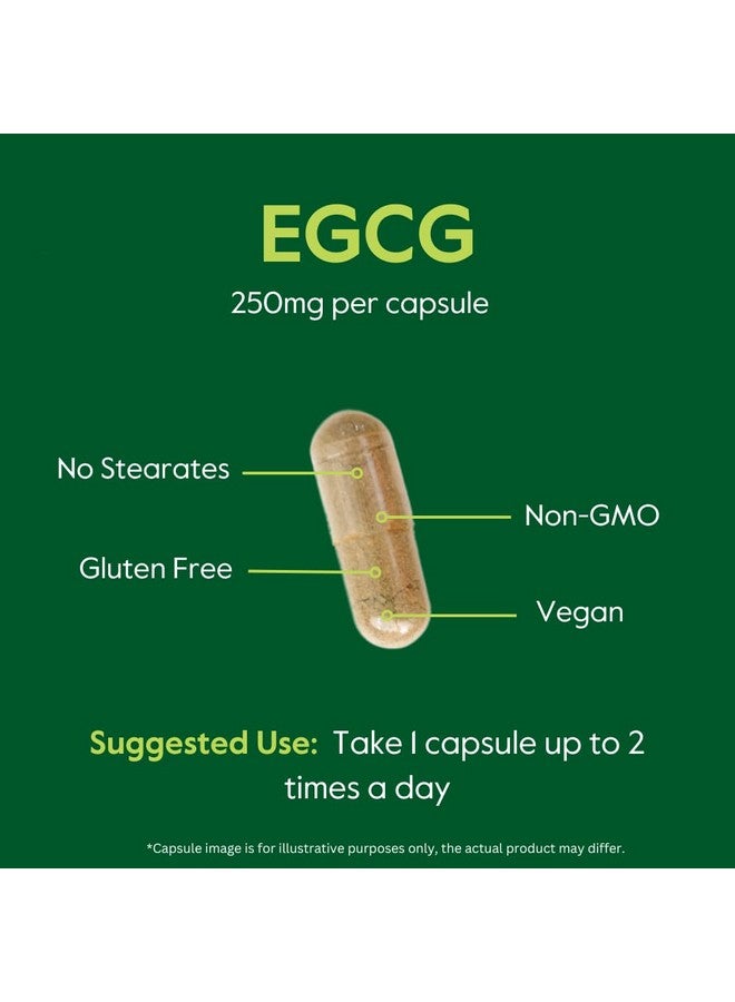 BESTVITE BESTVITE EGCG 250mg (120 Vegetarian Capsules) - Image 5