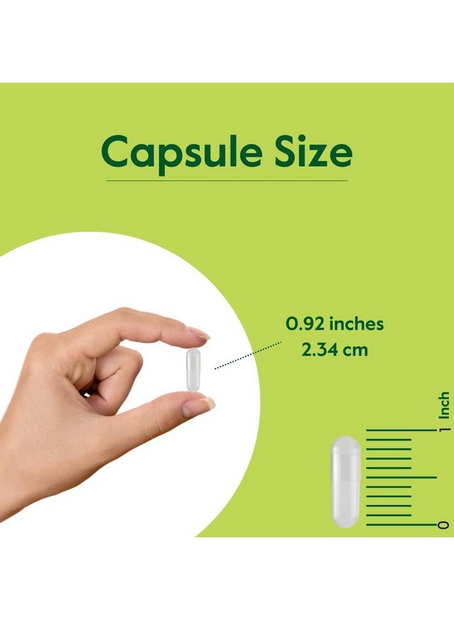 BESTVITE BESTVITE EGCG 250mg (120 Vegetarian Capsules) - Image 4