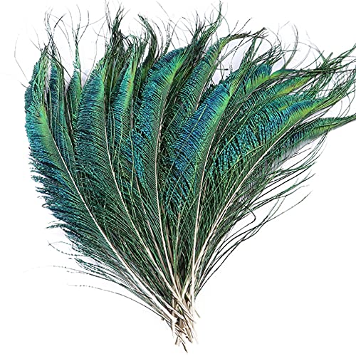 JorJorLer 40 pcs Sowder Natural Peacock Feathers 10-15 Inches for Crafts Multicolored DIY Craft Hat and Vase Decoration Wedding Flower Arrangement and Home Decorations Christmas Tree Decoration - Image 1